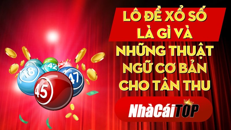 Lo De Xo So La Gi Va Nhung Thuat Ngu Co Ban Cho Tan Thu 1639068876