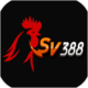 SV388 – Thỏa sức đam mê cùng những trận đấu đá gà tuyệt vời 