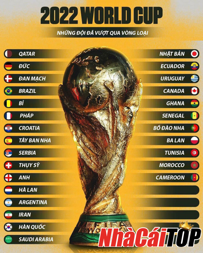 World Cup Co May Vong Loai Bang Dau World Cup 2022 Moi Nhat 1657085892